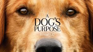 Movie Review: A Dogs Purpose