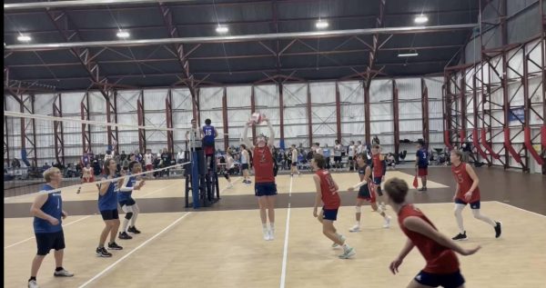 Breaking Gender Norms: Boys Who Play Female-Dominated Sports