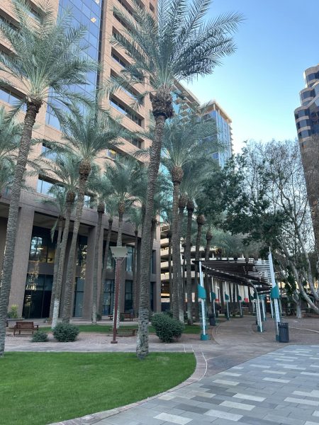 Arizona State University is the home of the Sandra Day OConnor School of Law, founded in 1965. The Sandra Day OConnor School of Law is ranked number 32 in the Nation for best Law Schools. 