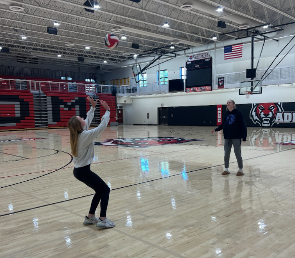 Young Talent on the Varsity Volleyball Squad