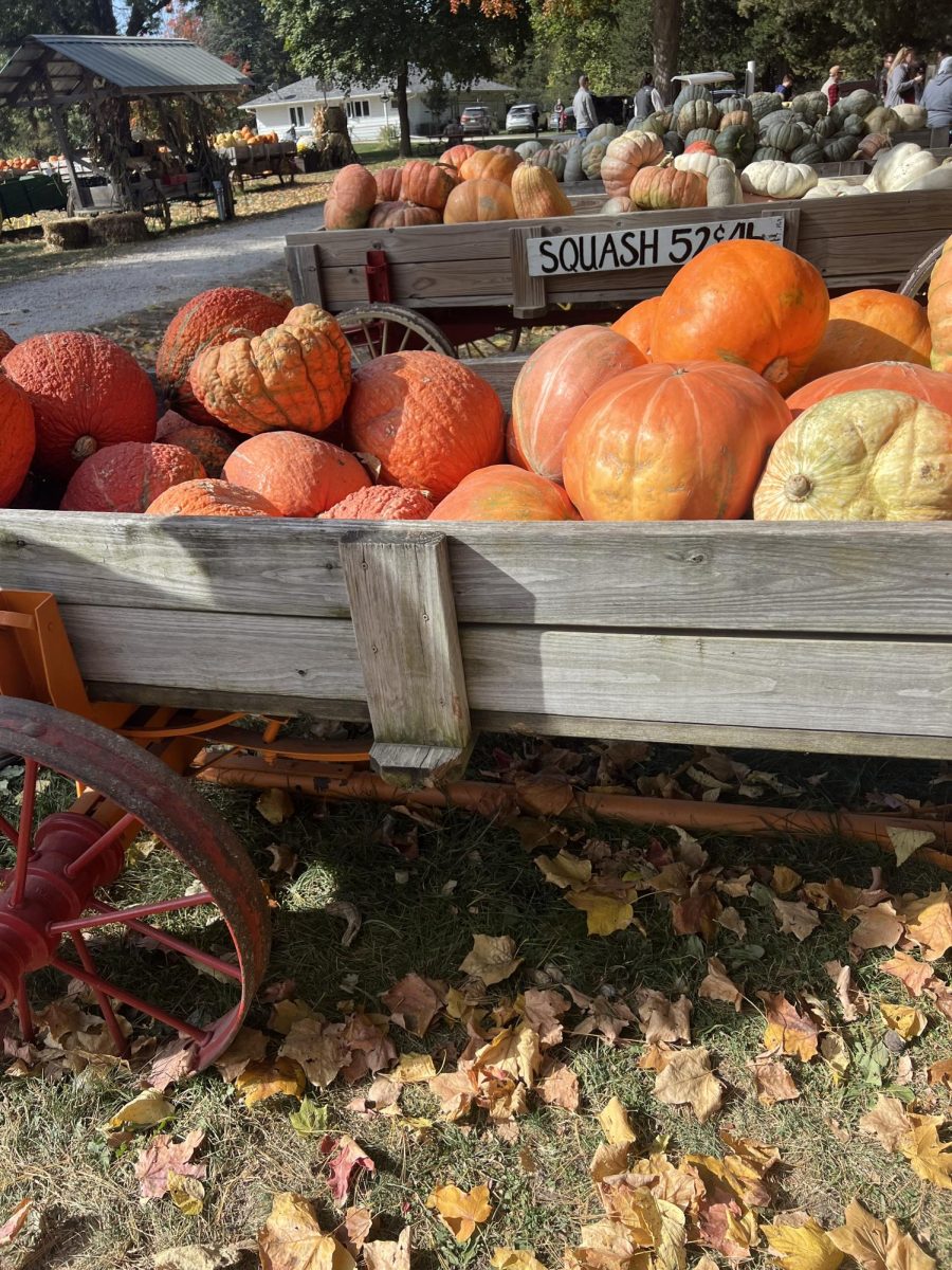 There were several barrels throughout the landscape of pumpkins and squash that were available to purchase. 

