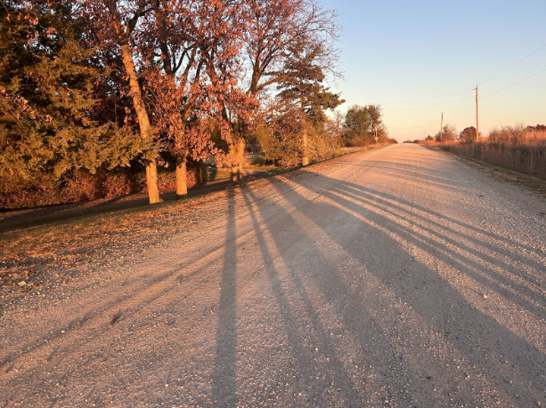 Take some time to relax by going on a walk. The beautiful fall colors and crisp air will ease your mind. 
