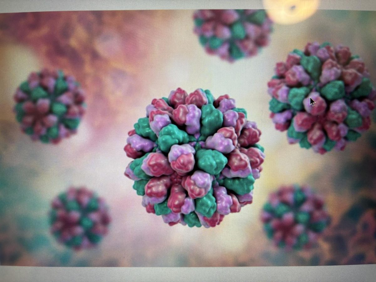 While the Norovirus bacteria might look like a wad of gum, it is highly contagious and has led to hundreds of hospitalizations across the US. This microscopic particle is the leading cause of inflammation in the stomach and intestines, a condition known as gastroenteritis.