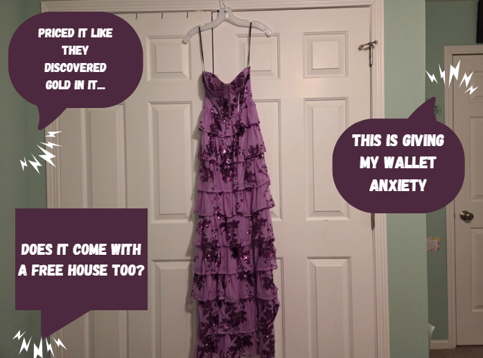 Brenna Garrity's 2025 prom dress hangs in all it's glory, whilst remarks are expressed about the pricing of the item. "I actually got my dress for under $100, I think it looks just as high quality as the  $500+ options on the market," Garrity said. 