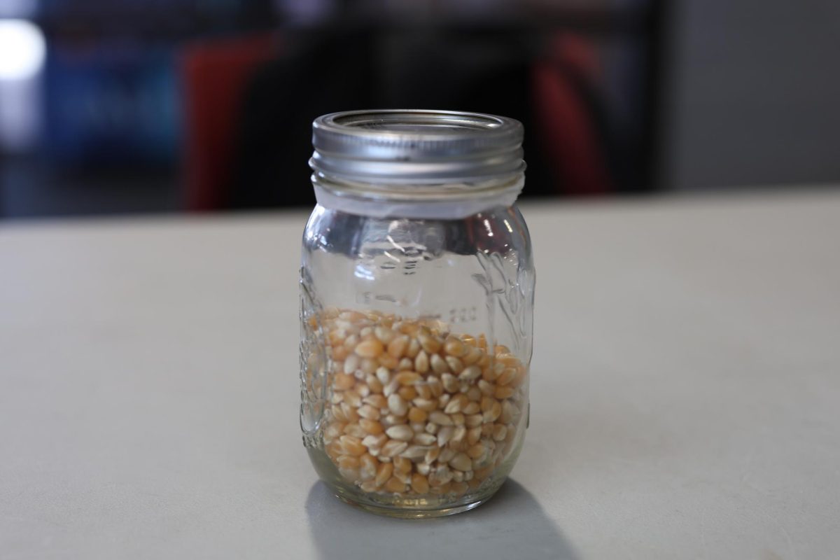 On Wednesday, students were able to participate in "Guess the kernel" at lunch. There was a winner from each lunch period. 
How many kernels do you think were in the jar?
