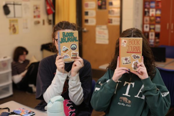 How do ADM Students feel about their electives?
