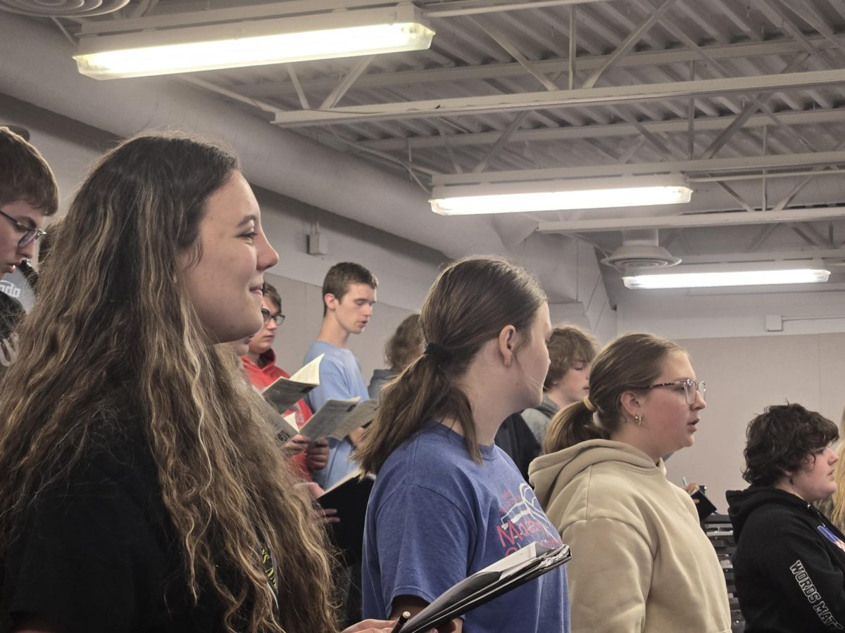 Julia Logue is the fine arts student of the month for theater. Logue, a senior, is the daughter of Kurt and Paula Logue. She has participated in theater, thespian society, individual and large group speech, D & D club, Magic: The Gathering club, and dance. Logue is the Thespian president, a member of choir council, and part of the speech leadership team. Logue feels that others should participate in fine arts to "get their voice out there."  Logue feels honored to, and feels that this recognition is important to her, especially in her final year of high school. In honor of her achievements, Lincoln Savings Bank has donated $100 to the ADM Scholarship Foundation.